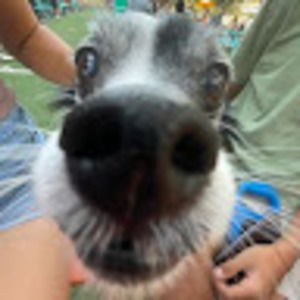 Meet your Posher, Anchalee